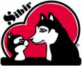 husky1